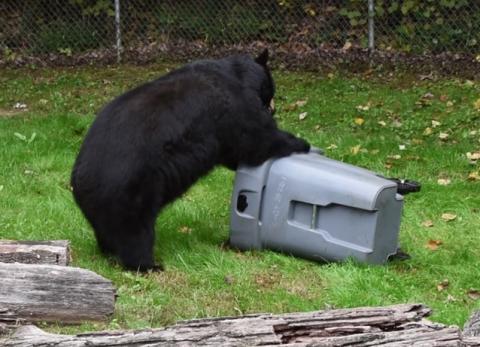 Toter Test – Western North Carolina Nature Center