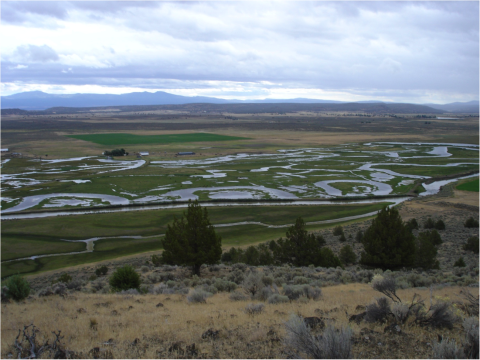 The Carey Ranch floodplain pastures and wetlands have been maintained through reconstruction of key infrastructure in 2009 and 2010, Credit: IWJV