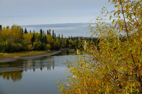 Chena River in Alaska