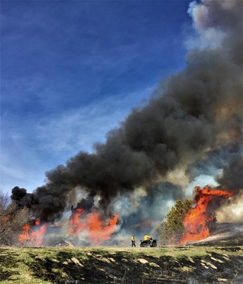 Prescribed fire in progress