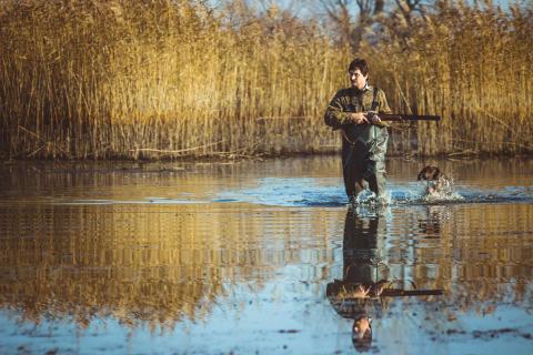 Duck hunter and dog