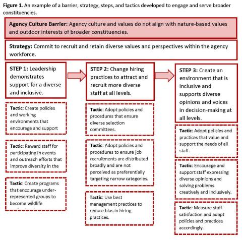 An example of a barrier, strategy, steps, and tactics developed to engage and serve broader constituencies
