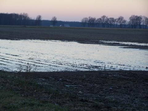 Flooded farm field