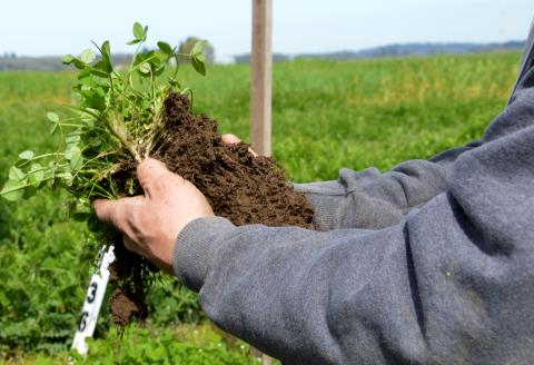 a demonstration of healthy soil practices
