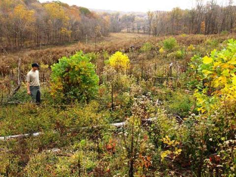 Ross Lake Wildlife Area, southern Ohio