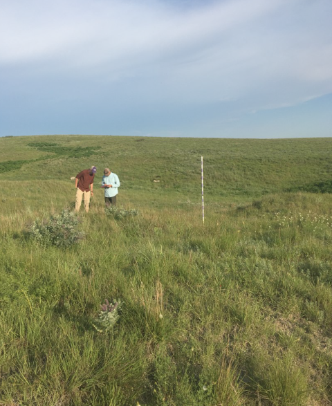Coop staff conduct research on a Kansas farm