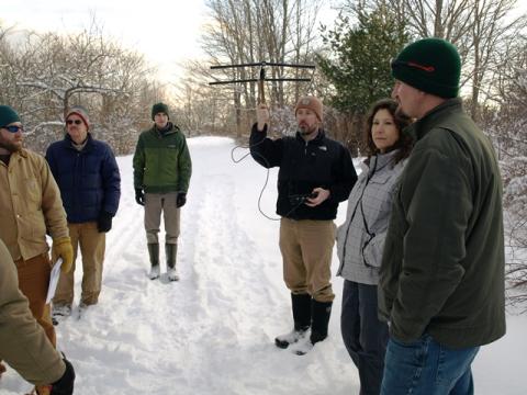Biologist Jeff Tash radio-locates collared cottontails sheltering in thick habitat after a fresh snowfall at Wells National Estuarine Research Reserve, York County, Maine