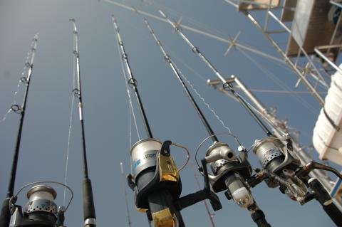 Fishing rods and reels