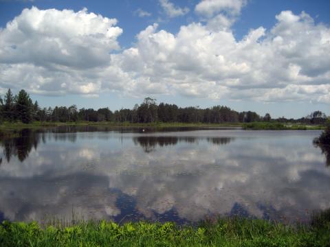 Seney National Wildlife Refuge