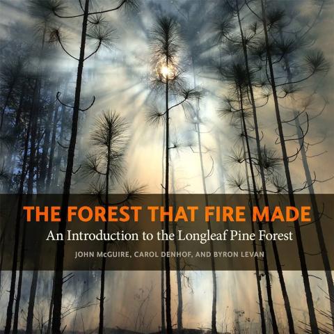 The Forest That Fire Made book cover