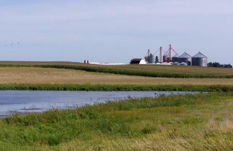 Wetland on an Iowa farm property