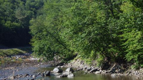 White River in Vermont