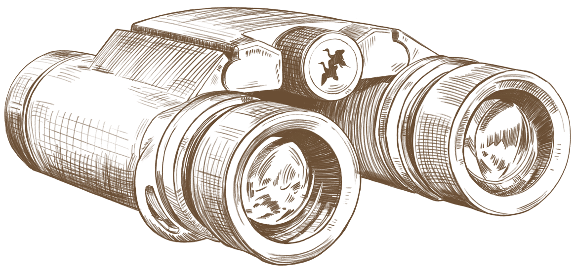 Sketch of Binoculars
